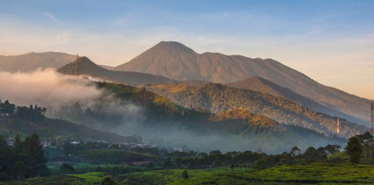 Gunung Gede: Puncak Ketinggian dan Keindahan Alam yang Memukau